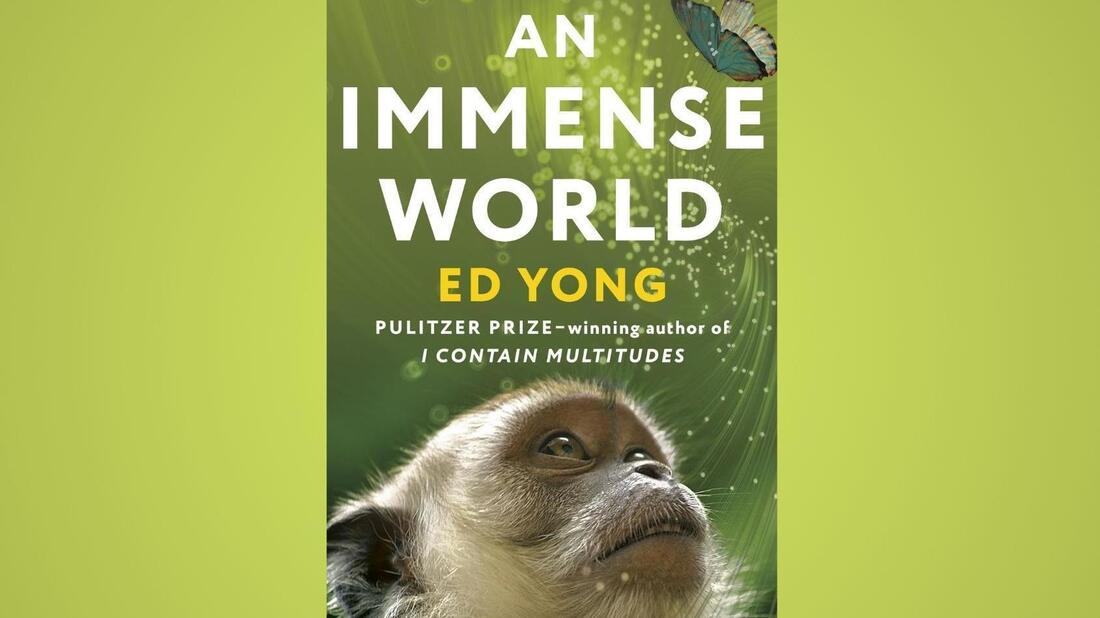 Exploring Animal Senses: Insights from Ed Yong’s ‘An Immense World’