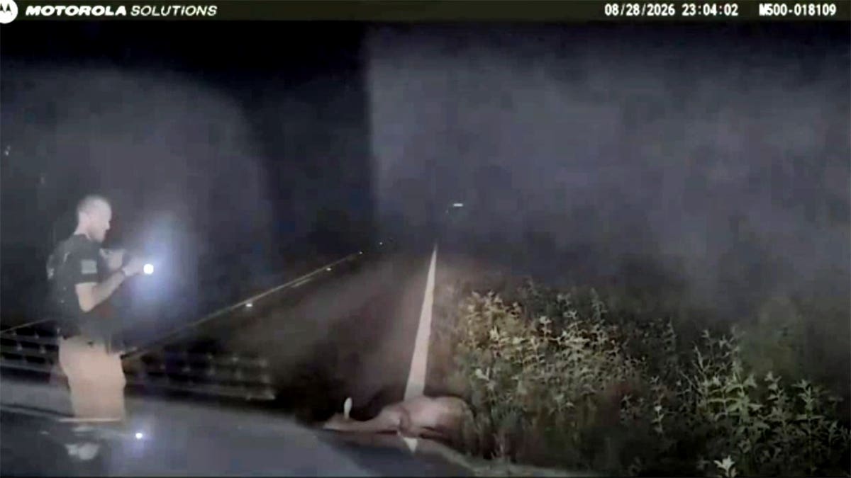 Deputy’s Surprise Deer Encounter Goes Viral