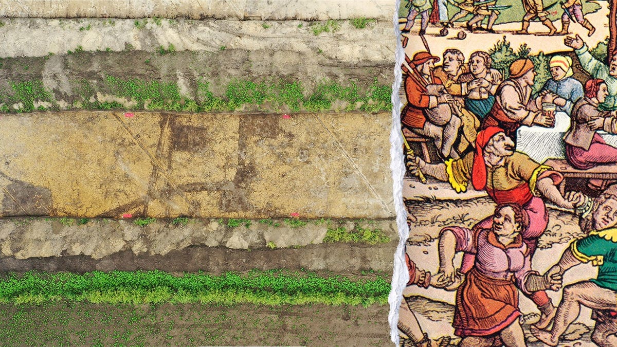 Archaeological Discovery Unveils Abandoned Medieval Village in Germany