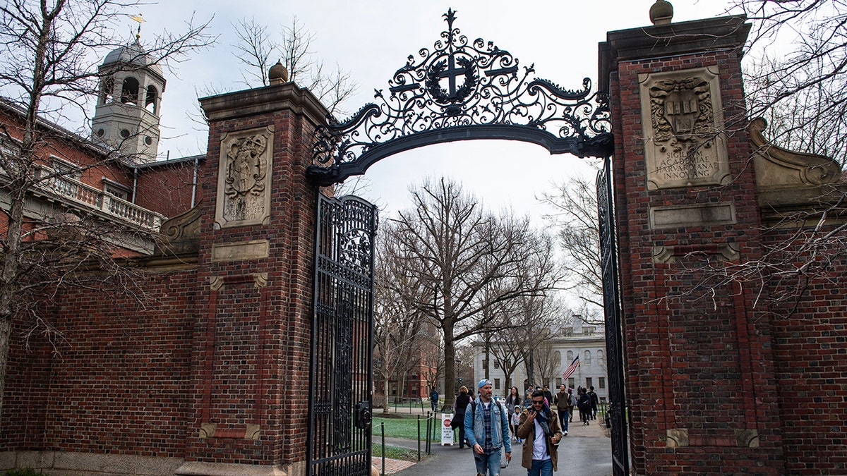 AI’s Impact on College Admissions and Employment