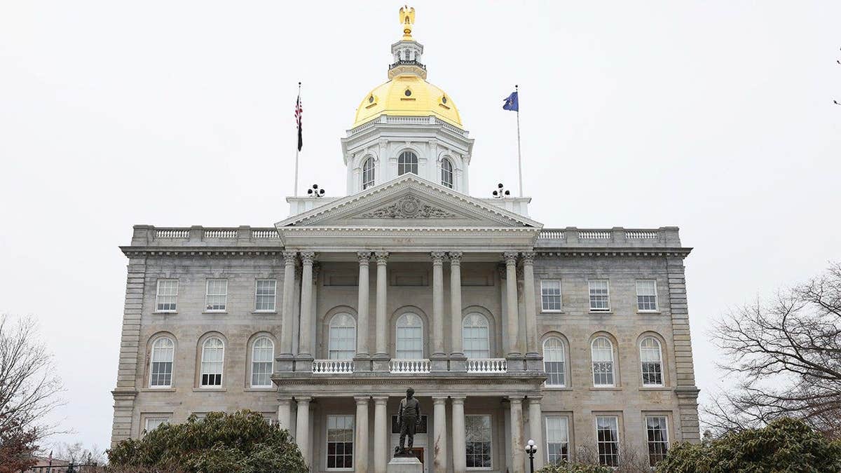 Lily Tang Williams Wins New Hampshire GOP Primary for Congress