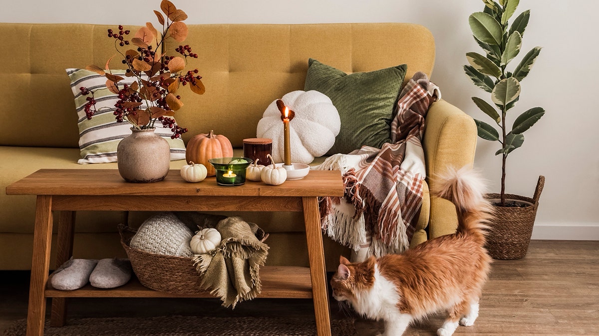 Affordable Fall Home Decorations Under $50