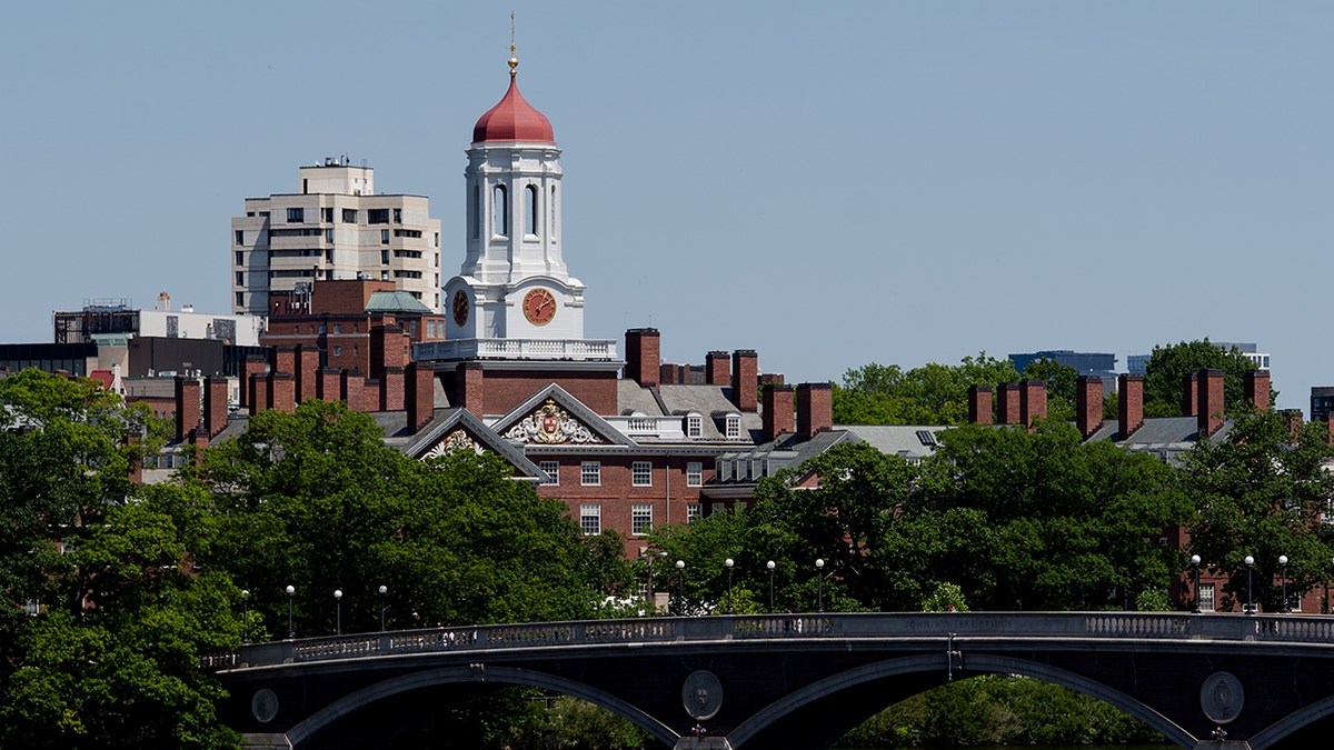 Controversial Anti-Racism Resources Featured on Harvard’s Website