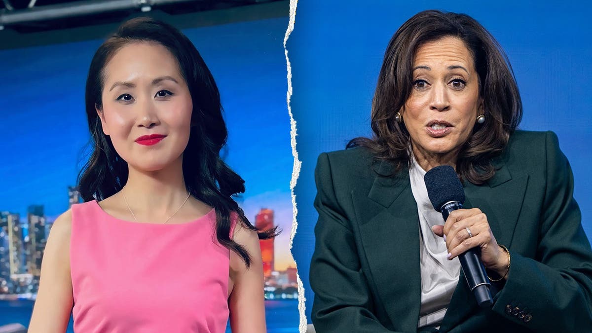 Lindy Li Reveals Democratic Concerns Over Biden Campaign