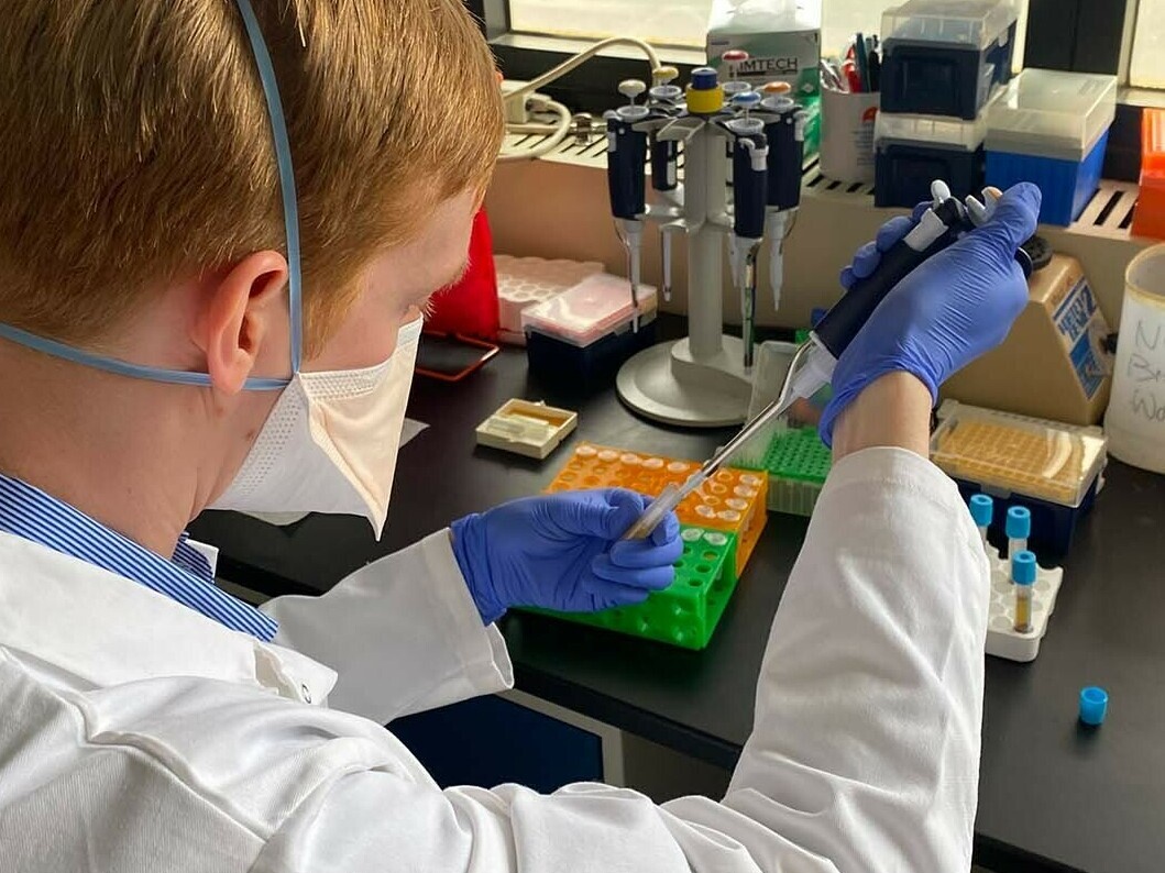 Researchers Seek to Uncover Biomarkers for Long COVID Through Blood Analysis