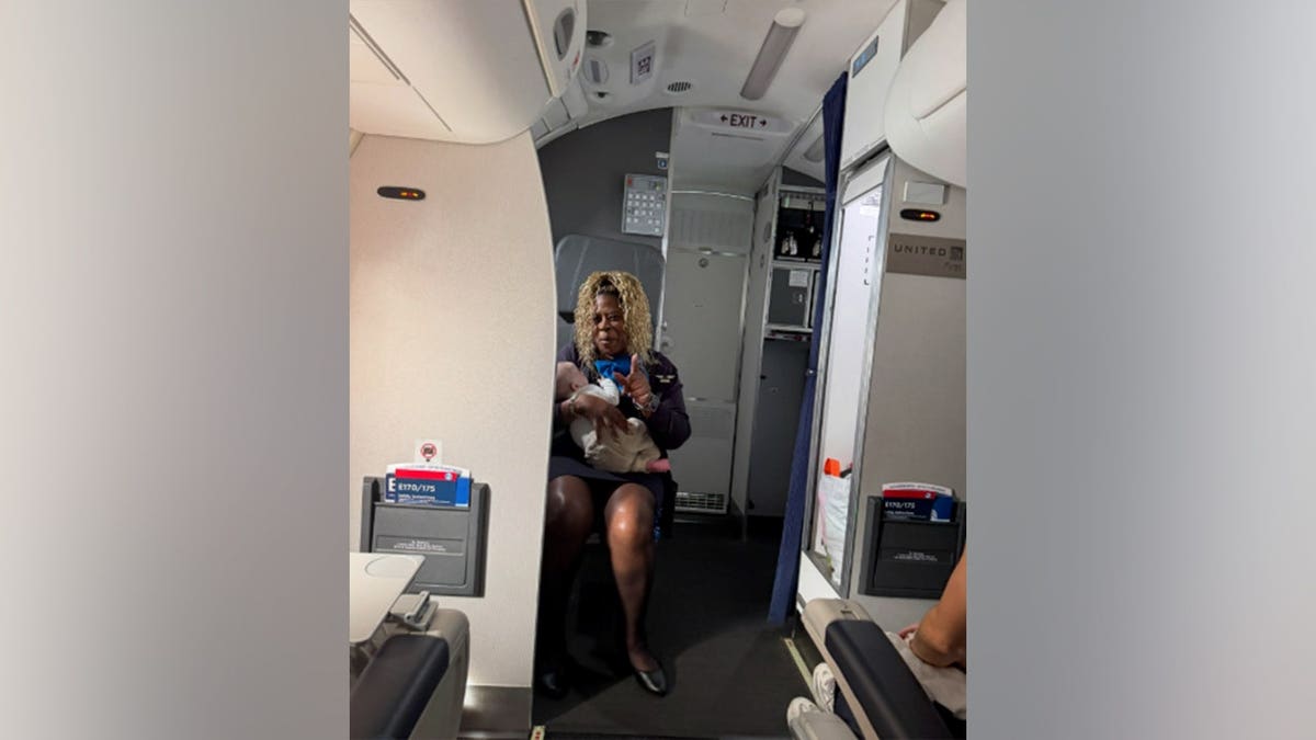Flight Attendant Praised for Heroic Act on United Airlines Flight