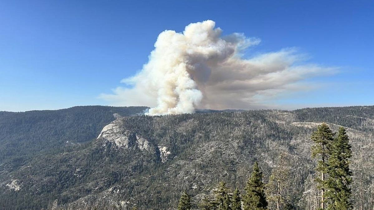 Tragic Helicopter Crash Claims Lives of Two Firefighting Pilots in Yosemite National Park