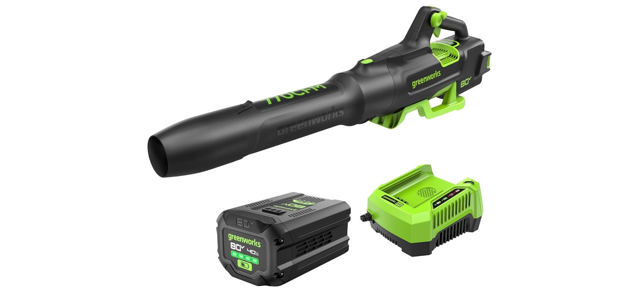 Best Electric Leaf Blowers for Homeowners