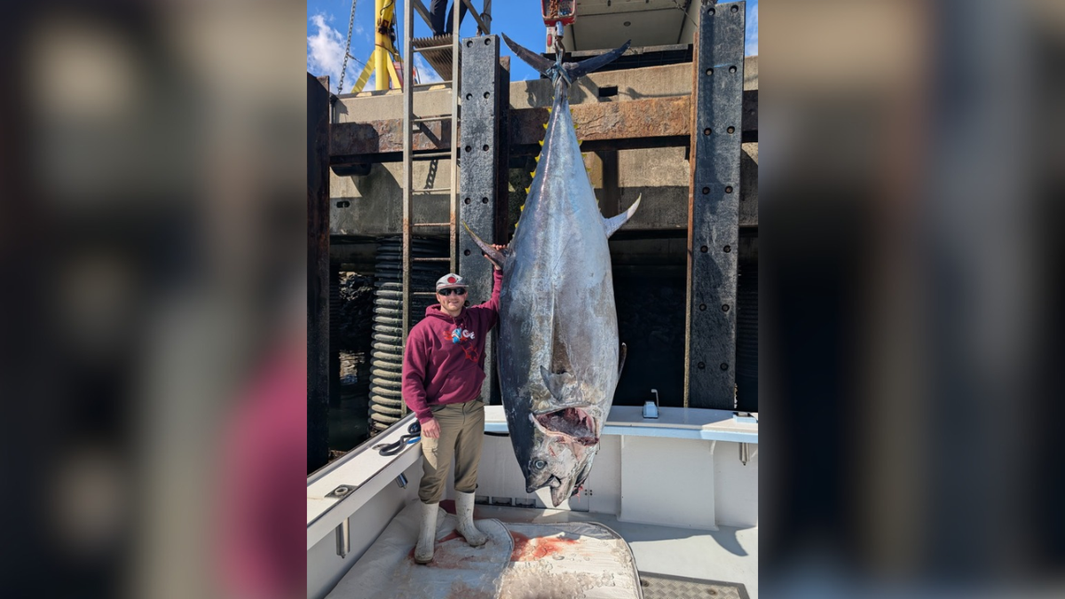 New Hampshire Sets Bluefin Tuna Record with 1,116-Pound Catch