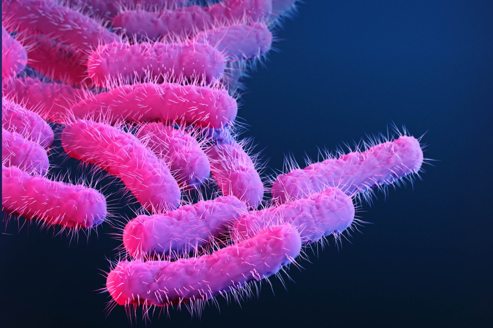Rising Antibiotic Resistance in Shigella Infections