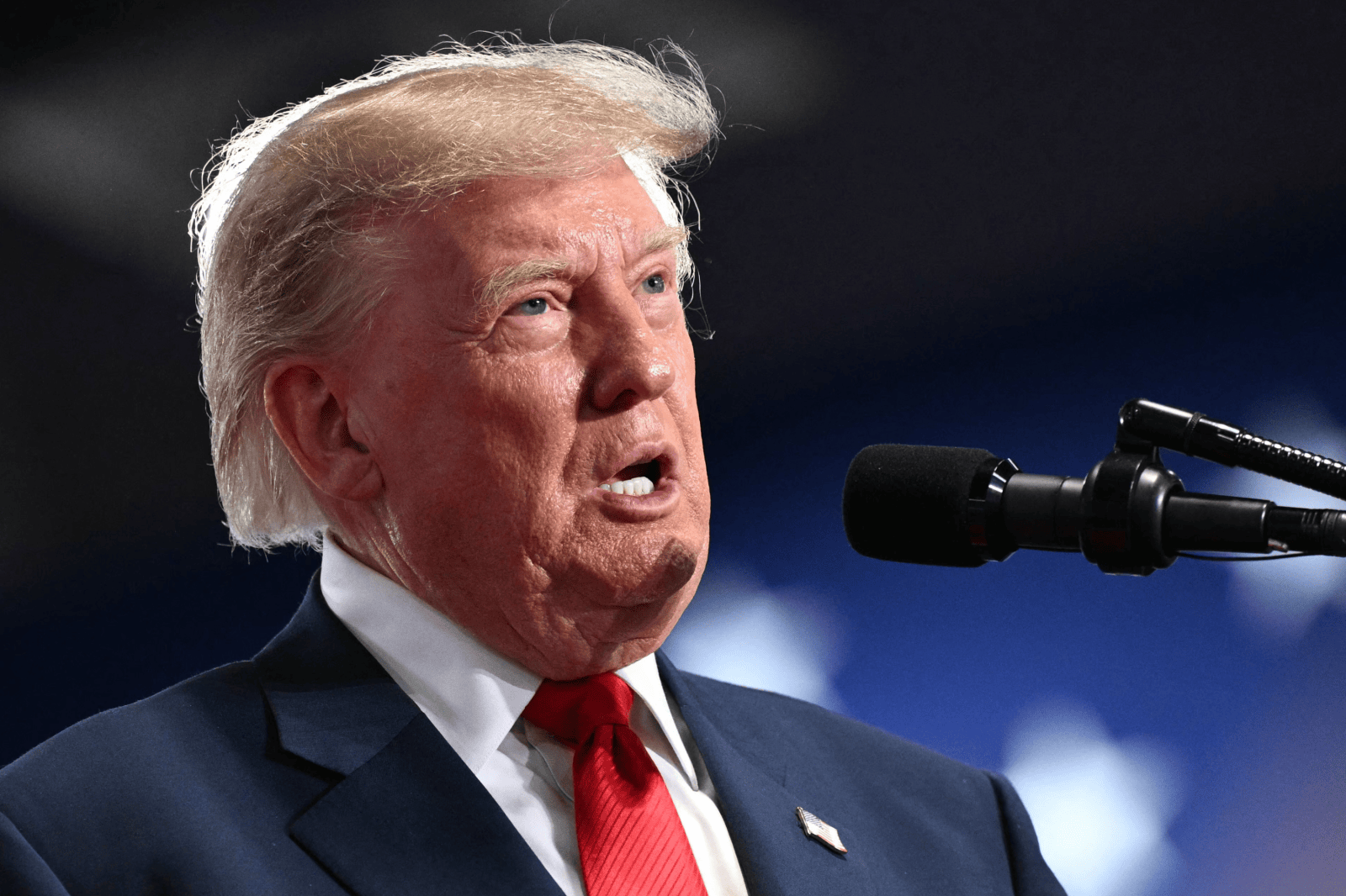 Trump Criticizes New York Surrogacy Bill Amid Campaign Rally
