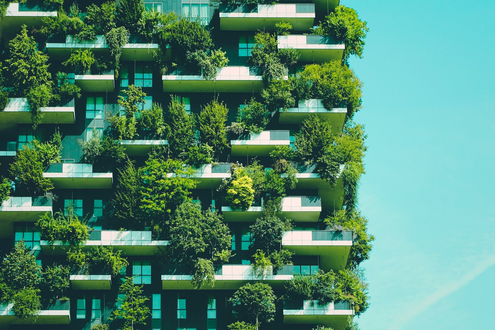 Impact of Green Spaces on Dementia Risk in Older Adults