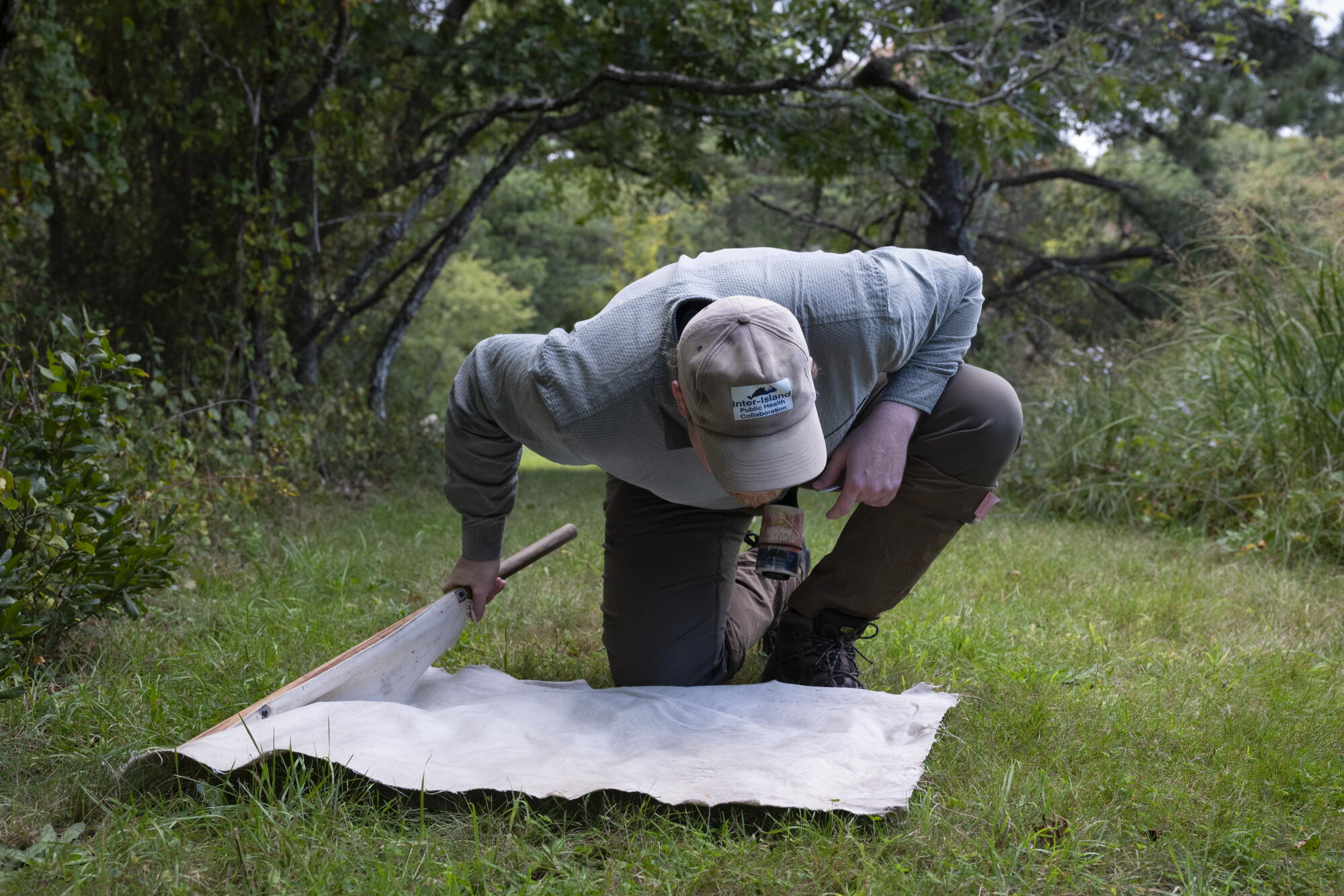Tick Crisis on Martha’s Vineyard: The Alpha-Gal Syndrome Threat