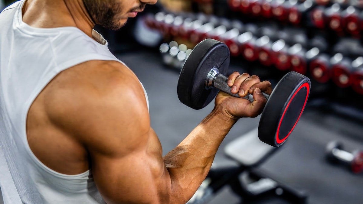 Cialis and Muscle Regeneration: Study Insights
