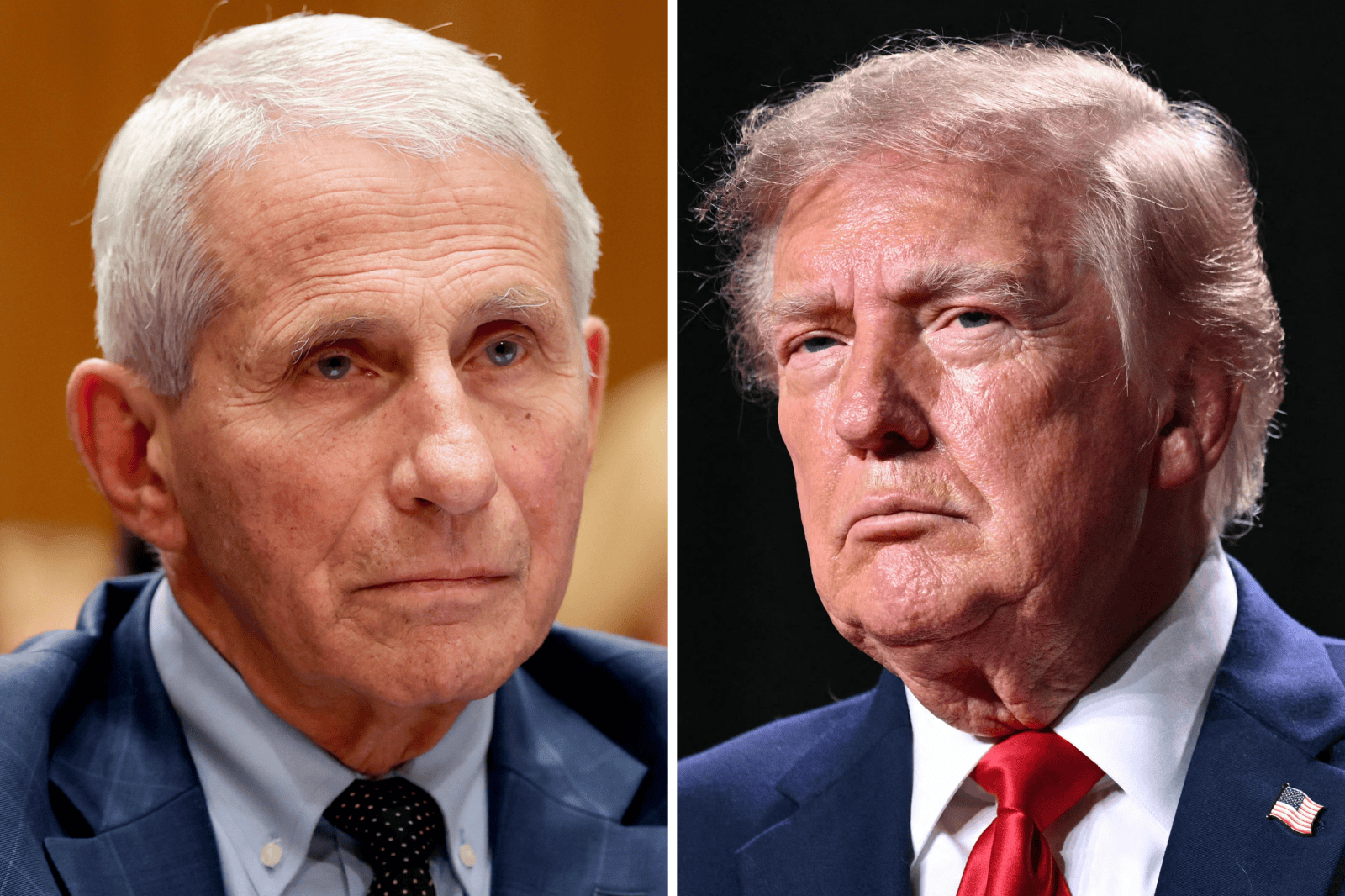 Fauci’s Diary Entries on Trump Released Amid Senate Inquiry