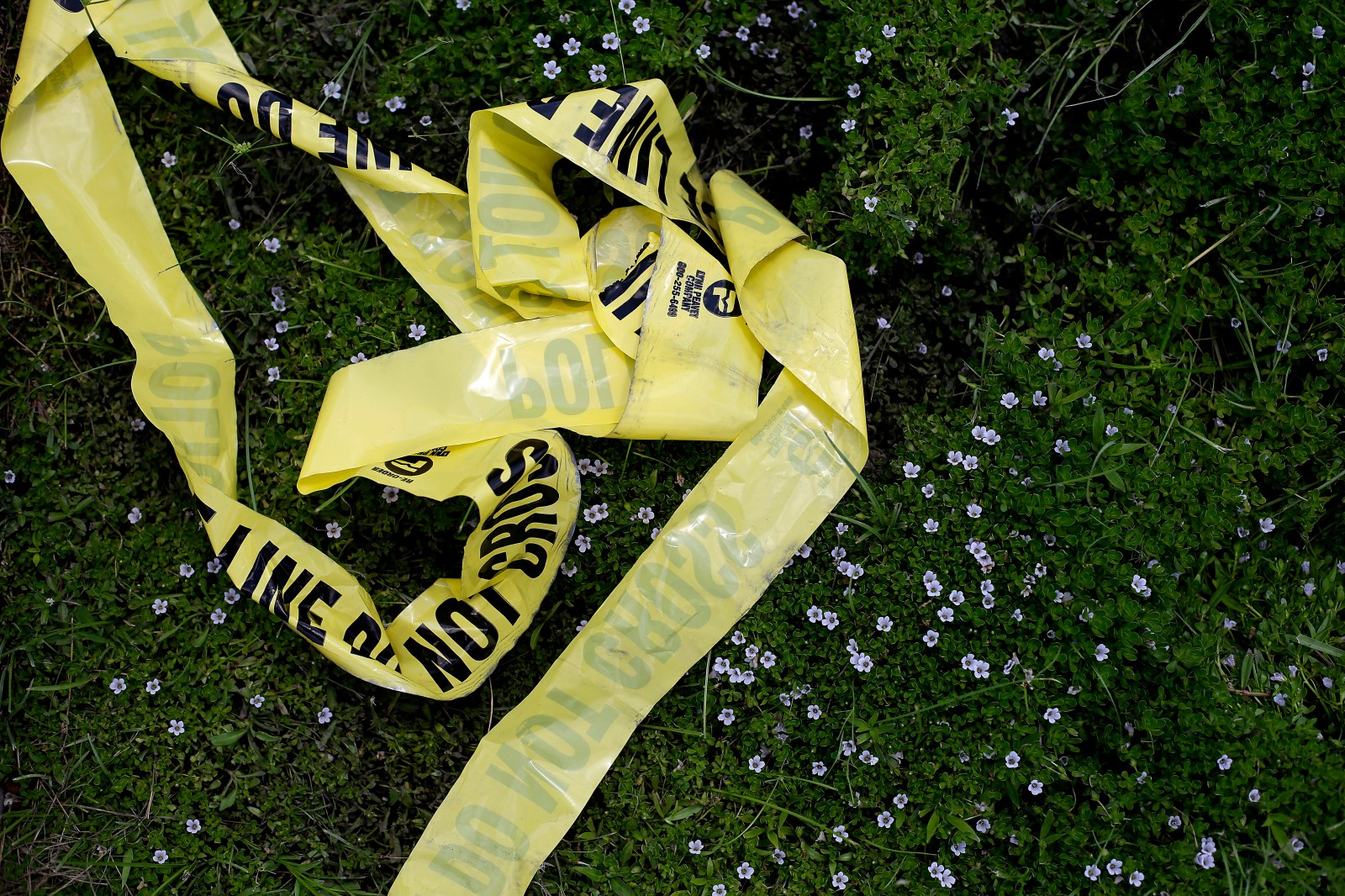 Five Found Dead in South Georgia Home: Investigation Underway