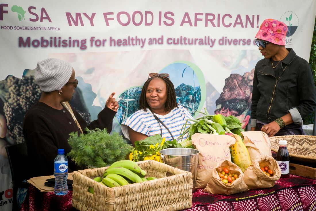 Zambian Farmers Embrace Bokashi Fertilizer Amid Rising Costs