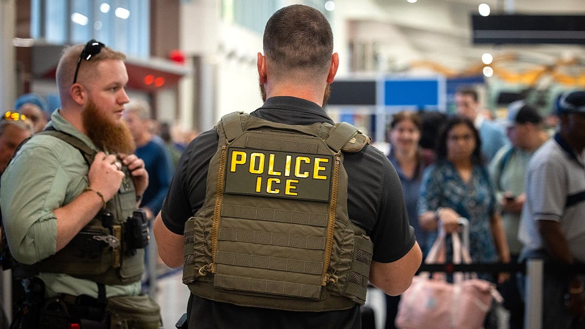 Georgia Lawmaker Calls for Probe into H-1B Visa Fraud Allegations