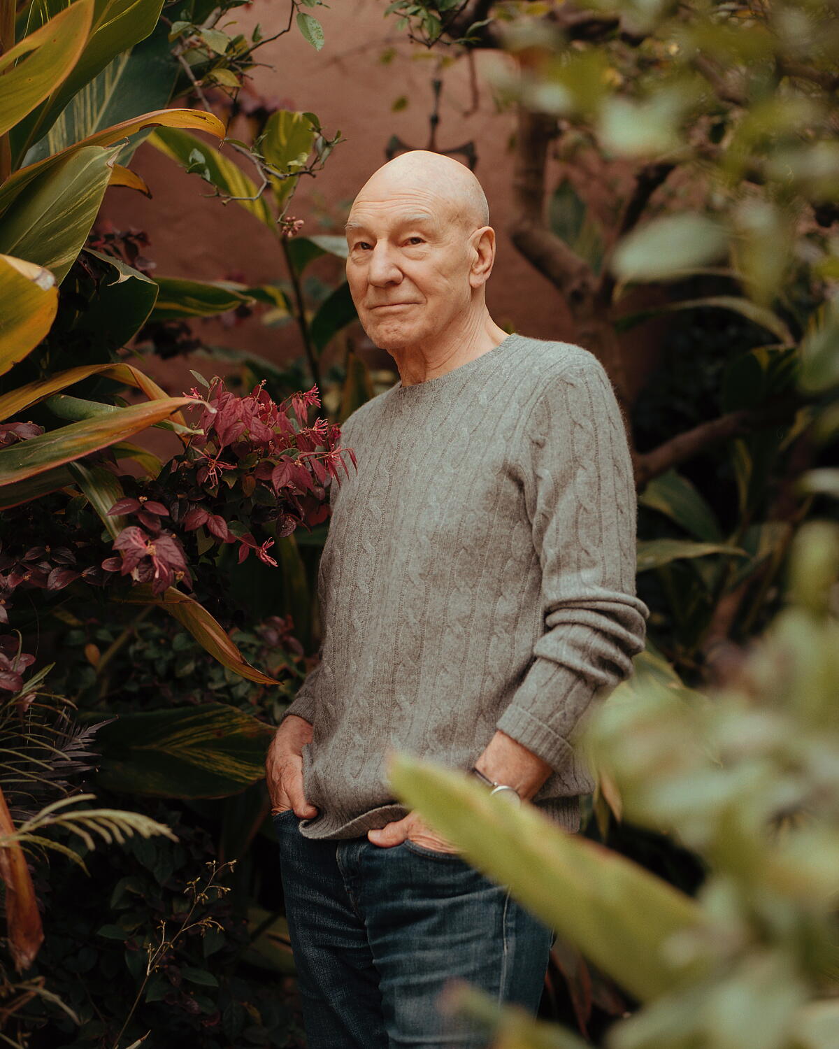 Actor Patrick Stewart Passes Away at 86