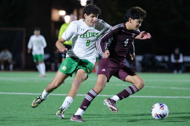 Providence Freshman Leo Mendoza Shines in Sectional Semifinal