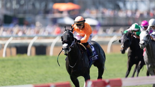 Navigating the Challenges of Breeders’ Cup Horse Racing