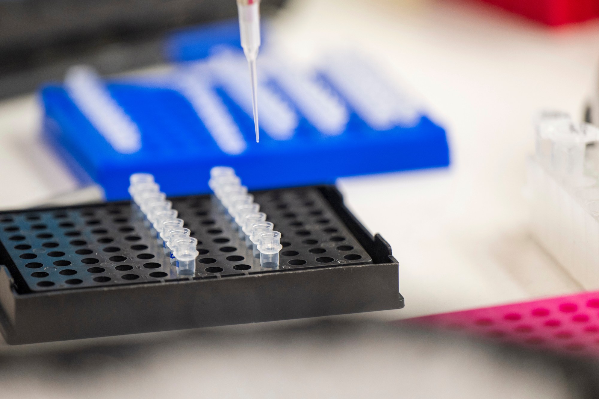 U.S. Blocks Shipments from Chinese Biotech Firm Due to Labor Abuse Concerns