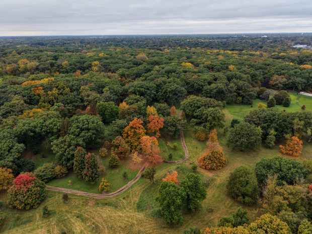 Changing Weather Patterns and Their Impact on Trees and Ecology at The Morton Arboretum