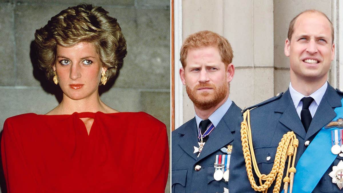 Princess Diana’s Concerns for Prince Harry and Prince William’s Futures