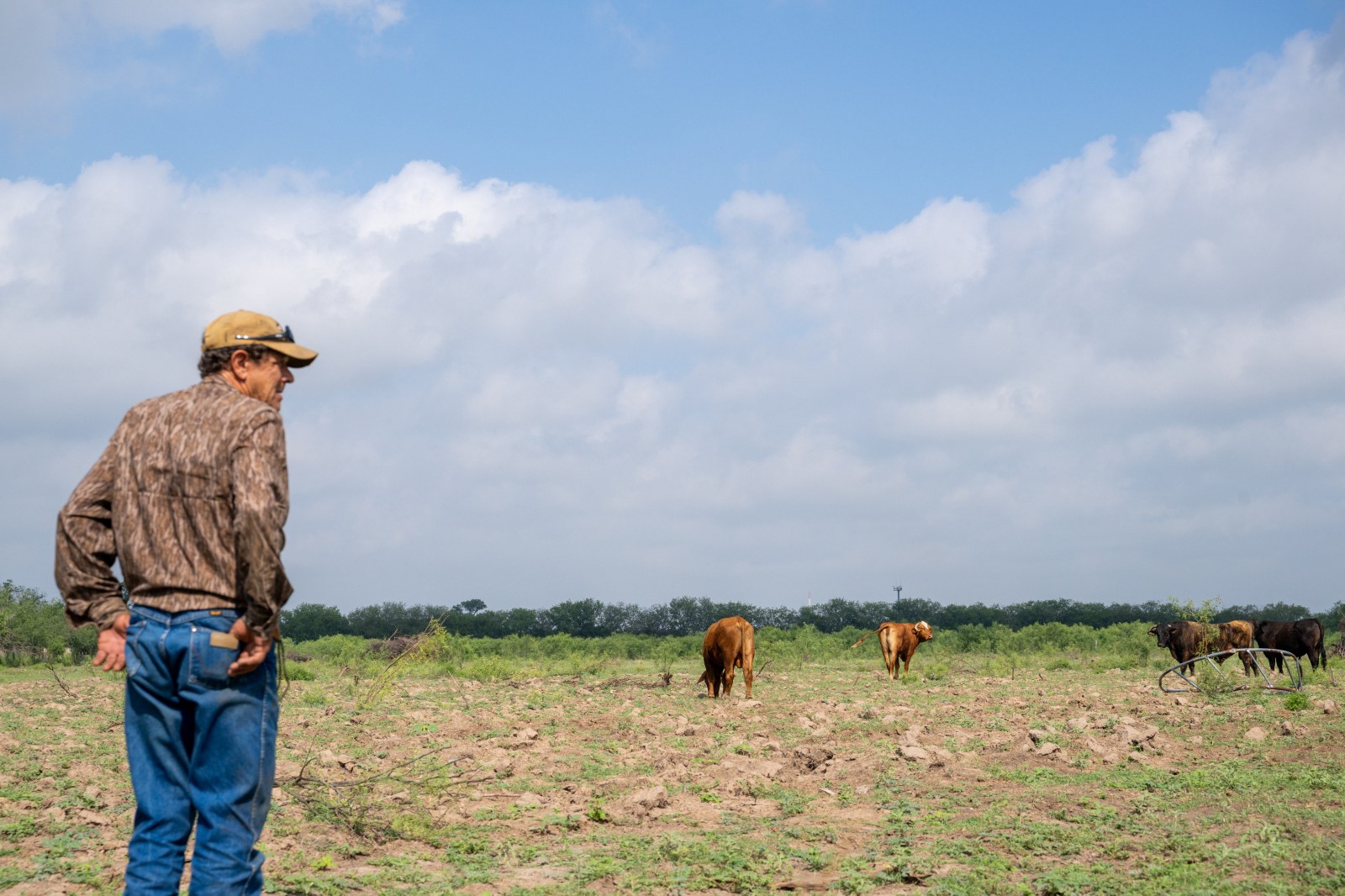 Republican Senate Seats at Risk in Key Farm States