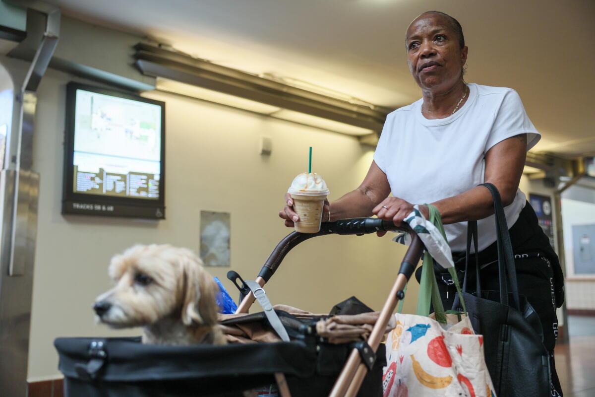 Metrolink Riders Confront Fare Hikes Amid Service Reductions