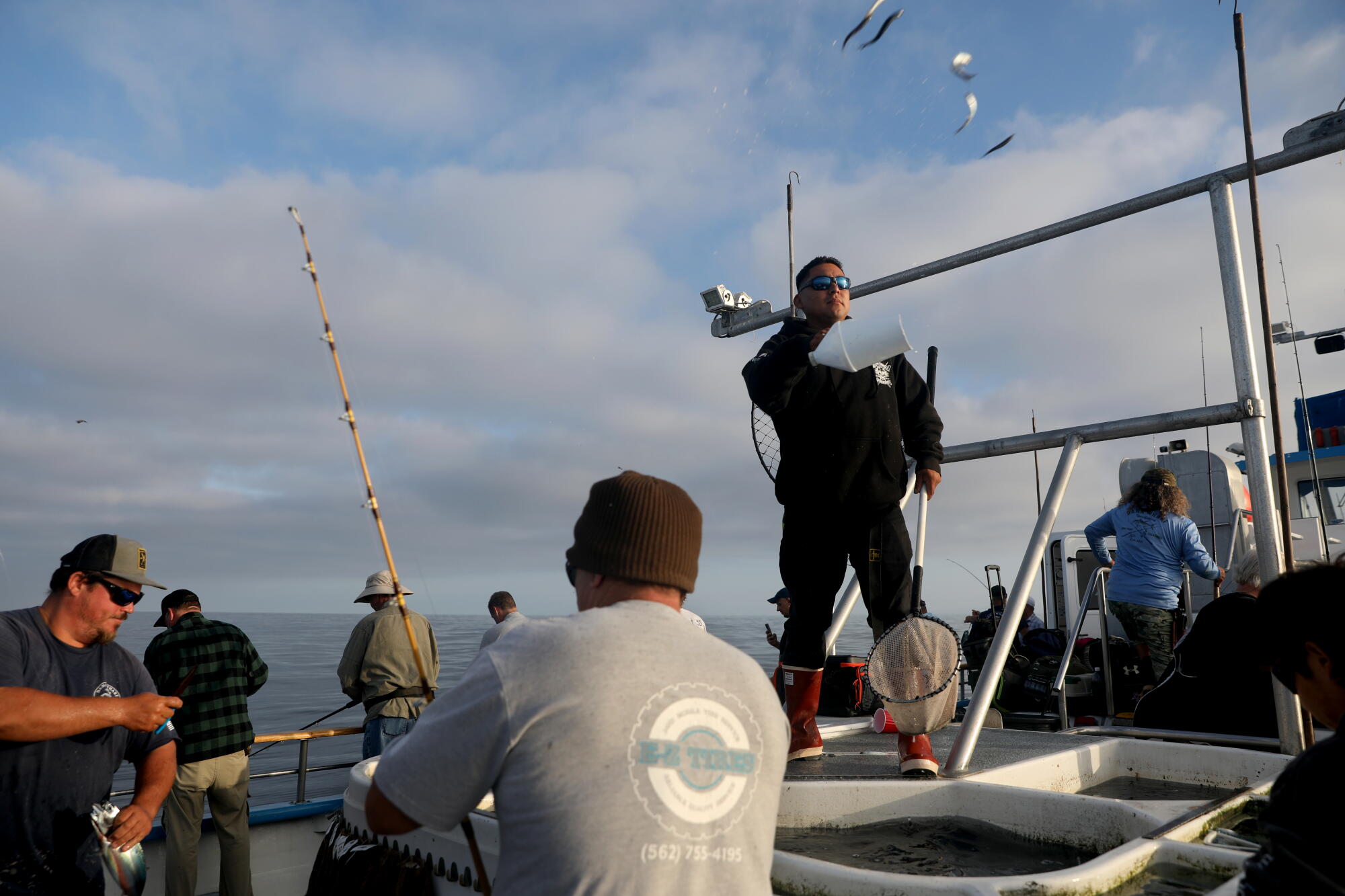 Unusual Marine Life Seen Off California Coast Amid El Niño