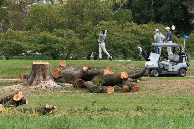 Judge Temporarily Halts Tree Removal at East Potomac Golf Links
