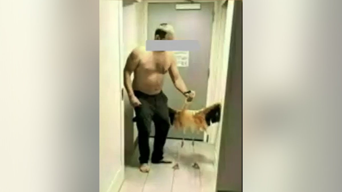 Canadian Tourist Found Guilty of Animal Cruelty for Flamingo Incident in Las Vegas
