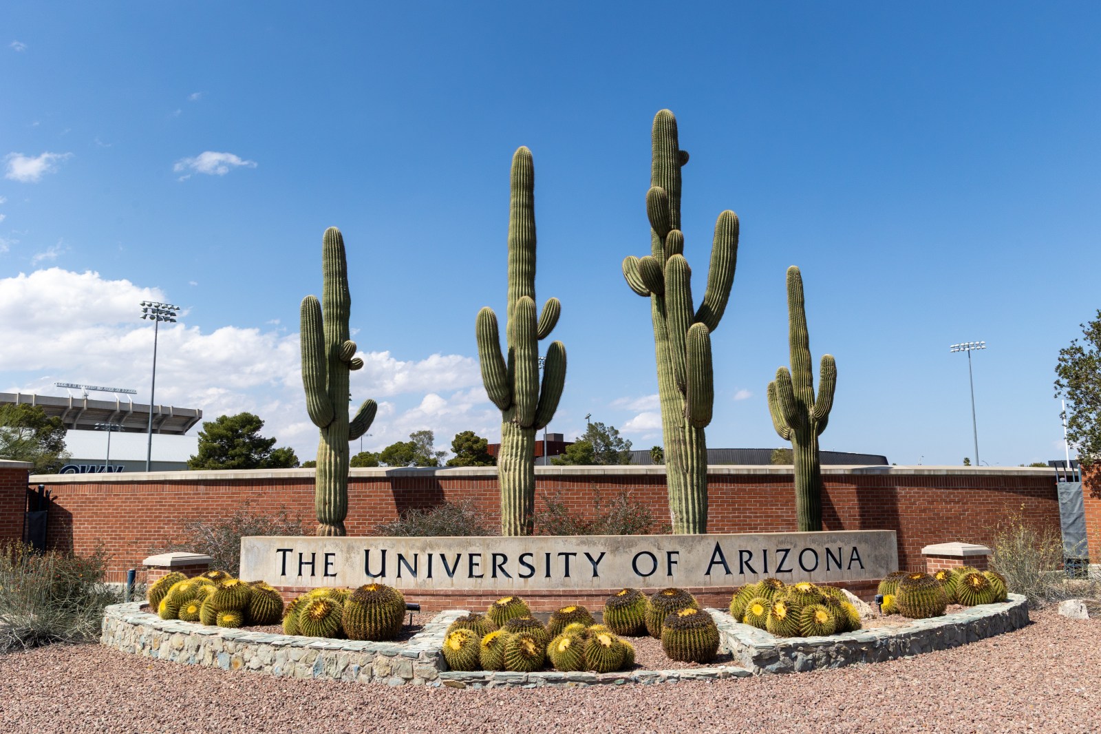 University of Arizona Suspends Fraternities Amid Investigations