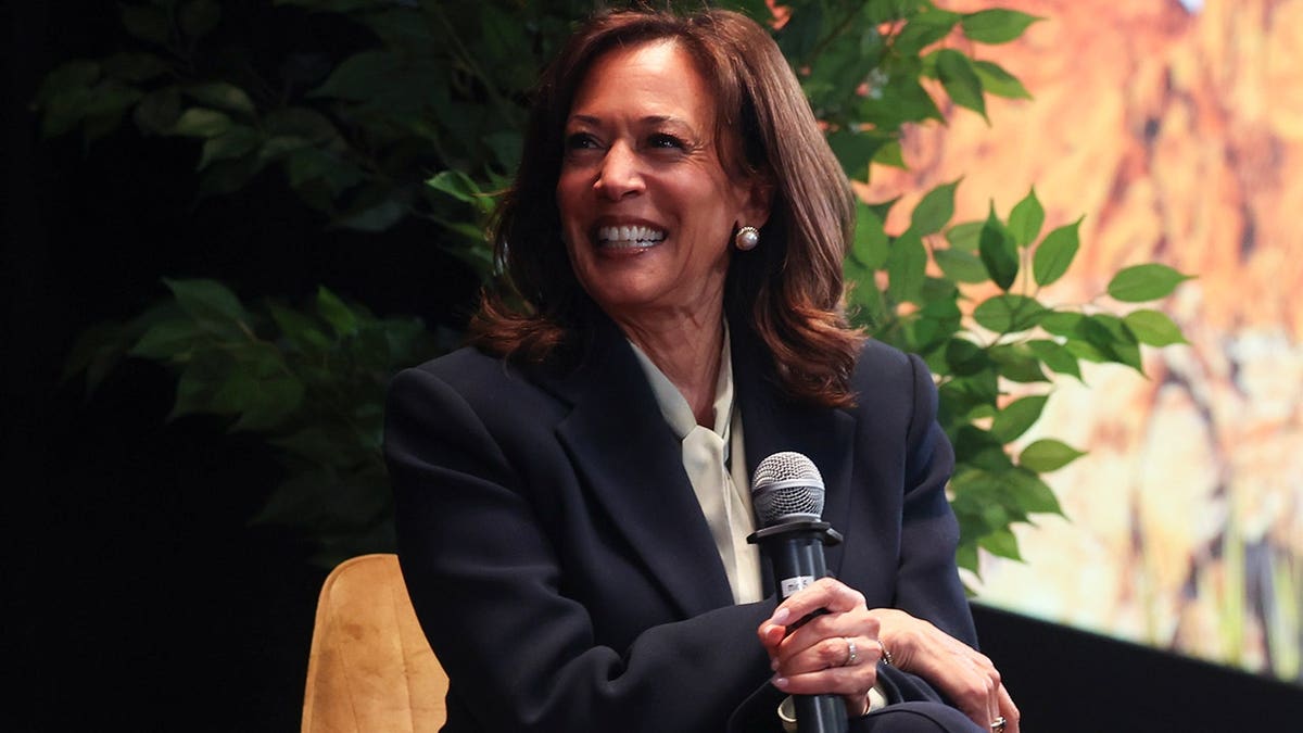Debate Among Democrats About Kamala Harris’s Prospects for 2028
