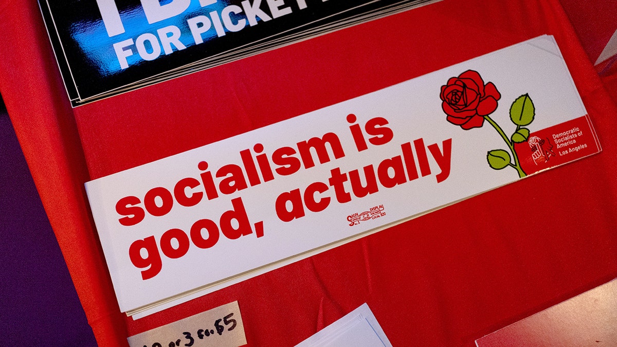 DSA Candidates Impact Democratic Party Dynamics