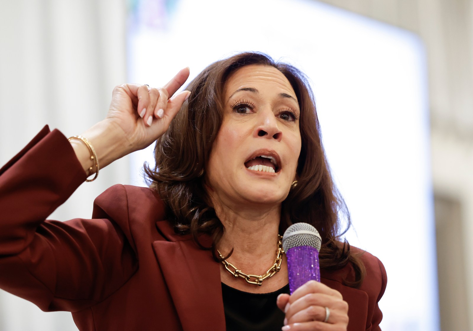 Kamala Harris Leads Democratic Poll for 2028