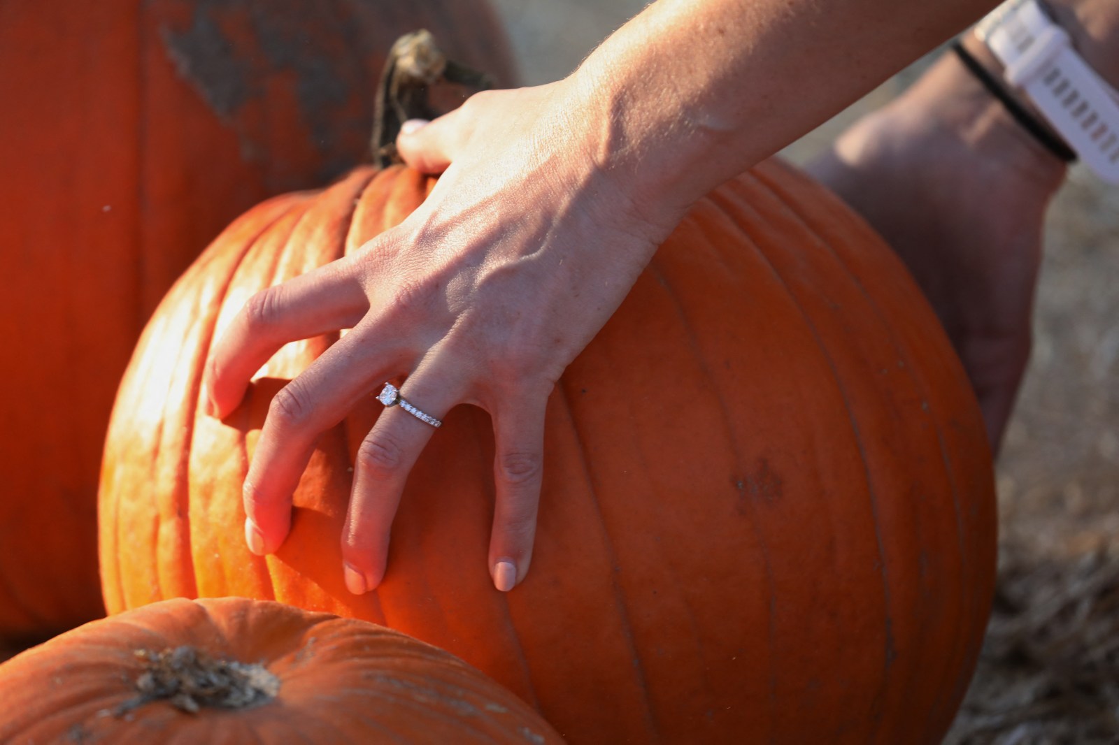E.coli Infections Linked to Pumpkin Farms Raise Concerns Ahead of Halloween