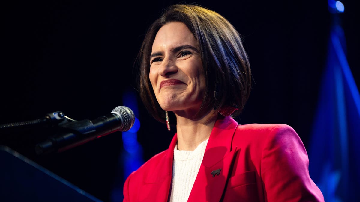 Democrats Eye Majority Amid Progressive and Moderate Tensions