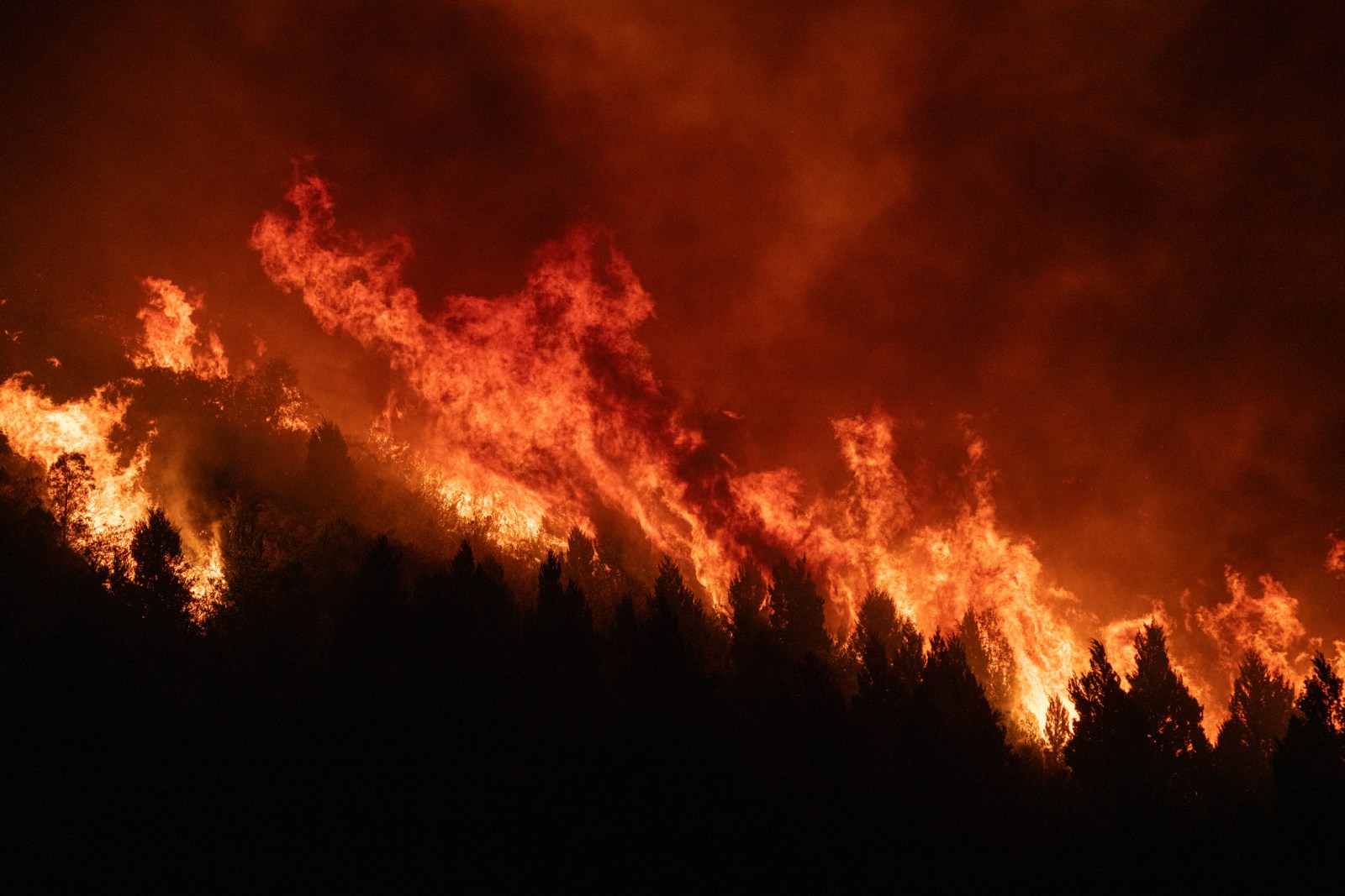 Fire at Canadian Military Base in Alberta Results in Casualties