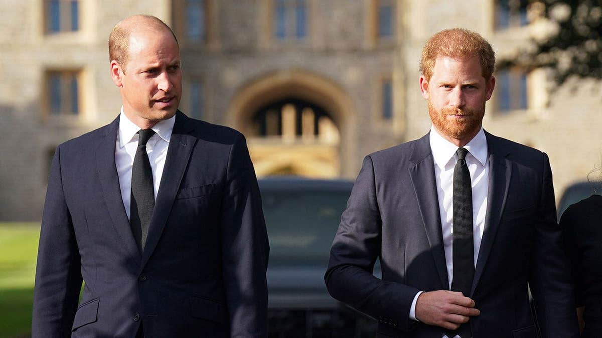 Prince William and Prince Harry’s Ongoing Rift