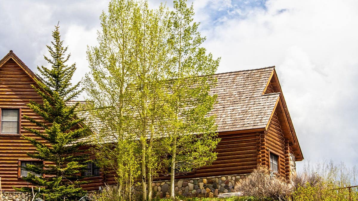 Coyotes Caught on Camera Explain Mysterious Nighttime Barking at Cabin