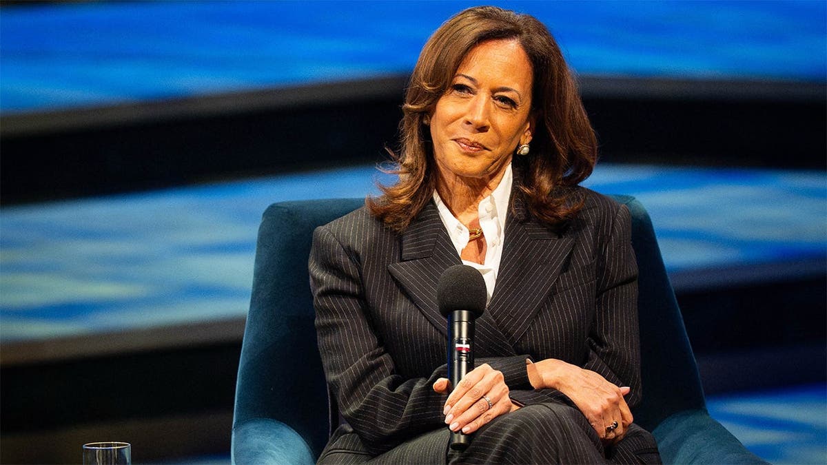 Democratic Senators and 2028 White House Bid Discussions